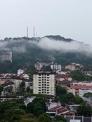 Blk 153 Gangsa Road (Bukit Panjang), HDB 5 Rooms #573039231